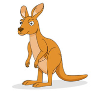 Australian Animals